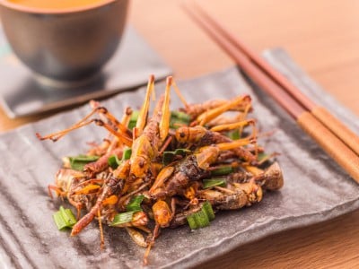 Eating the right insects can provide nutrition … and might be good for the planet