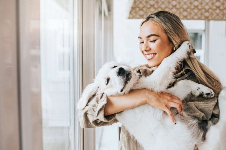 Should I Adopt a Dog? Here Are 8 Things to Consider First, According to a Trainer